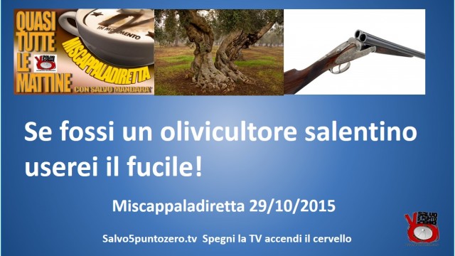 Miscappaladiretta 29/10/2015. Se fossi un olivicultore salentino userei il fucile!