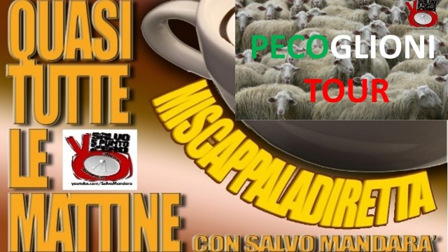 Aggiornamenti sul Pecoglioni TOUR. Miscappaladiretta. 04/02/2016