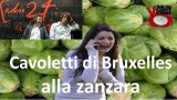 Cavoletti di Bruxelles alla zanzara. In collegamento diretto con Radio24. 23/03/2016