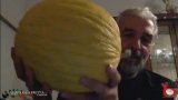 I Supermeloni di Giuseppe Cocca. Siamo alla frutta…e verdura. 38a Puntata. 12/09/2017.