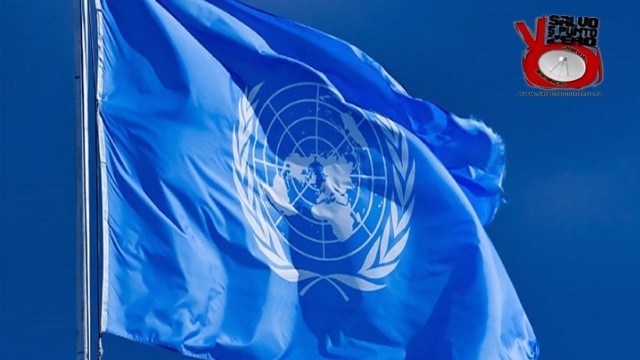 L’ONU getta la maschera! Miscappaladiretta 27/11/2015.